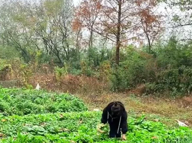 不婚、不社交、不迁就！30岁的她选择了独居农村