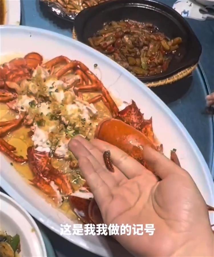 食客点龙虾做记号上菜后发现被换