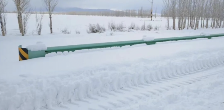 媒体:新疆暴雪 有牧民失联牛羊冻死