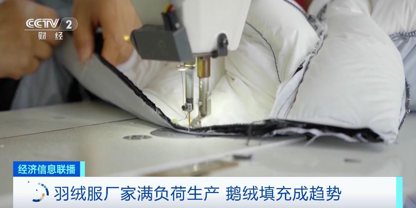 暴雪+寒潮+大风三预警齐发！羽绒服销售爆火：价格上涨，厂家满