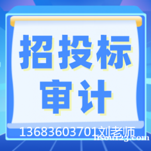 北京会计师事务所提供招投标审计快速便捷服务好
