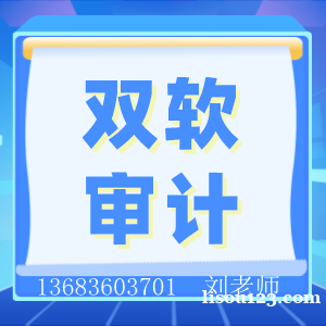 软件收入专项审计报告软件专项审计