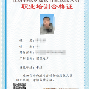 技术工人证分初级，中级，高级吗？