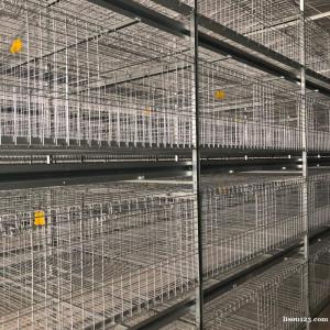 河南中州层叠式育雏笼青年鸡笼小鸡笼养殖笼具
