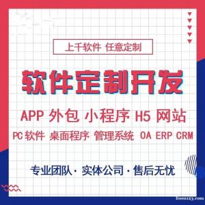 专业软件开发 APP开发 小程序开发 网站制作  OA ER