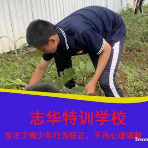安化特训学校哪里有效果