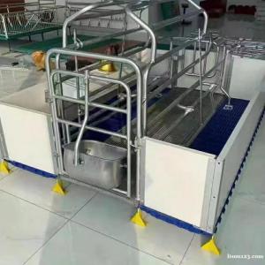 母猪用双体产床单体产床
