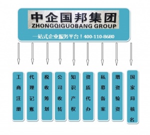 海南自贸港公司注册个体户核定税收筹划私募备案商标注册专利申请