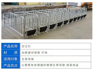 猪场母猪定位栏落地式定位栏加厚热镀锌大架可定制