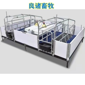 母猪欧式产床采用带有母猪防跳压杆小猪防跳压杆