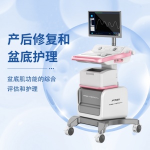 盆底生物刺激反馈仪 盆底功能障碍护理仪 女性盆底肌护理仪