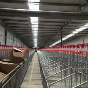 养殖料线畜牧料线猪场料线的优势以及价格