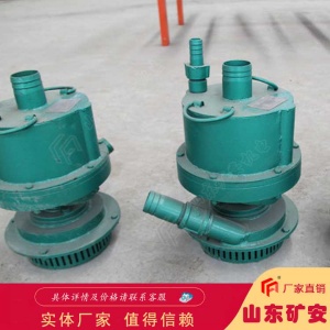 FQW20-25/W矿用风动潜水泵 排污能力强