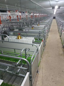母猪欧式产床分哪几种怎样安装