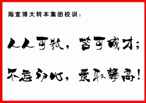 五年制专转本院校分数持续上涨，24年考生零基础如何备考