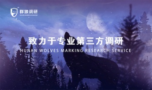群狼调研（长沙客户满意度调查）客户满意度提升方案