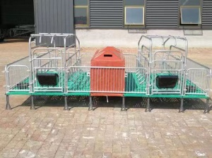 母猪双体产床 复合保温箱 铸铁支腿 复合漏粪板 复合电热板