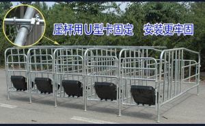 母猪复合定位栏悬空定位栏 连体定位栏