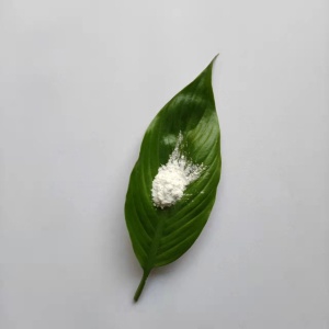 氮化硼（CY-HBN）纳米材料的应用