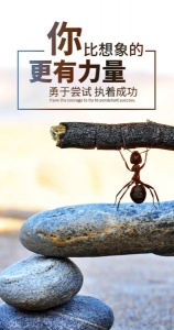 江苏瀚宣博大专转本苏州校区专科和本科的差别
