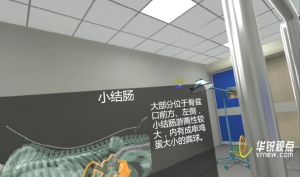 VR 马直肠检查虚拟仿真实验显著提升培训效能​