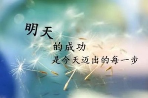 专转本助你重塑未来