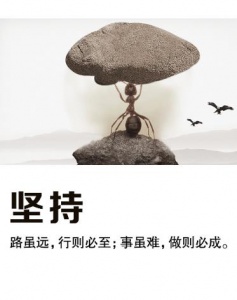 江苏五年制专转本细读暑假班