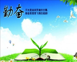 专转本机构来帮你