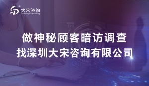 大宋咨询汽车门店 6S 标准现场检查：赋能门店管理升级（神秘