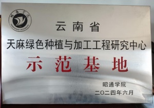 昭通野生天麻种植技术