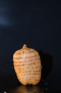 彝良小草坝天麻图片