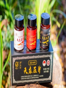 昭通小草坝天麻季节采收