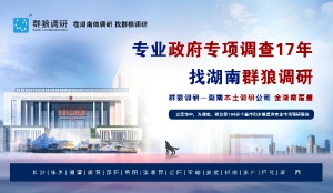 湖南政务服务调研：以细节洞察驱动服务体验提质